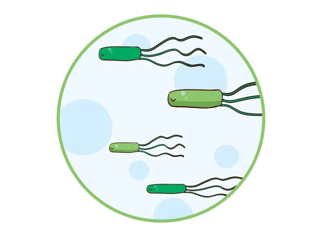 這種致癌物傳染性極強，50%中國人都有！很多人還不知道