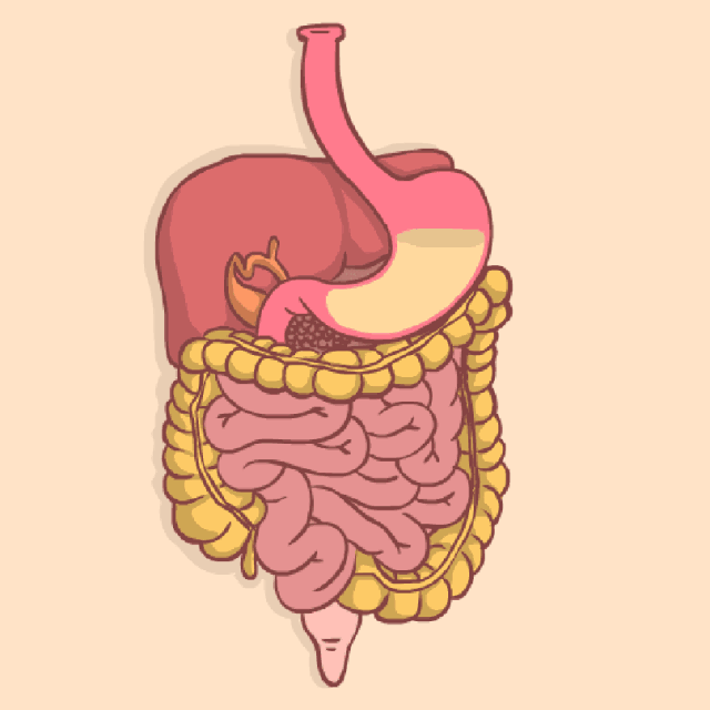 微信圖片_20210304111840.gif 微信圖片_20210304111840.gif