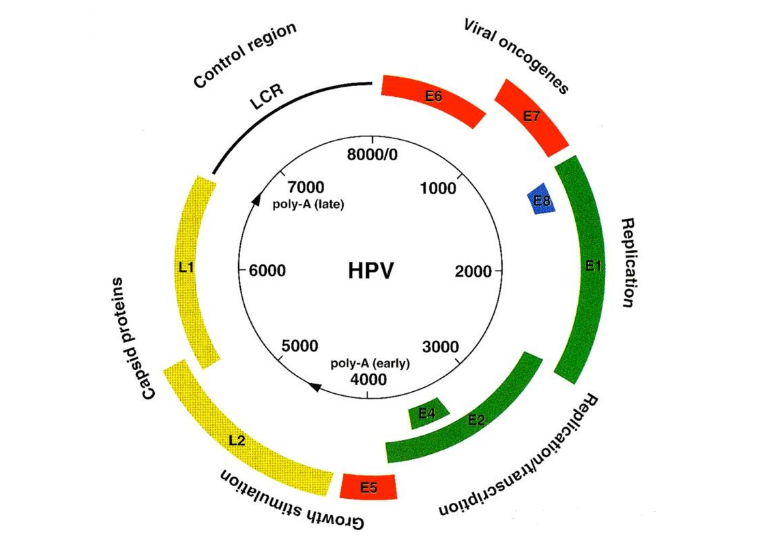 微信圖片_20231214085447.png 微信圖片_20231214085447.png