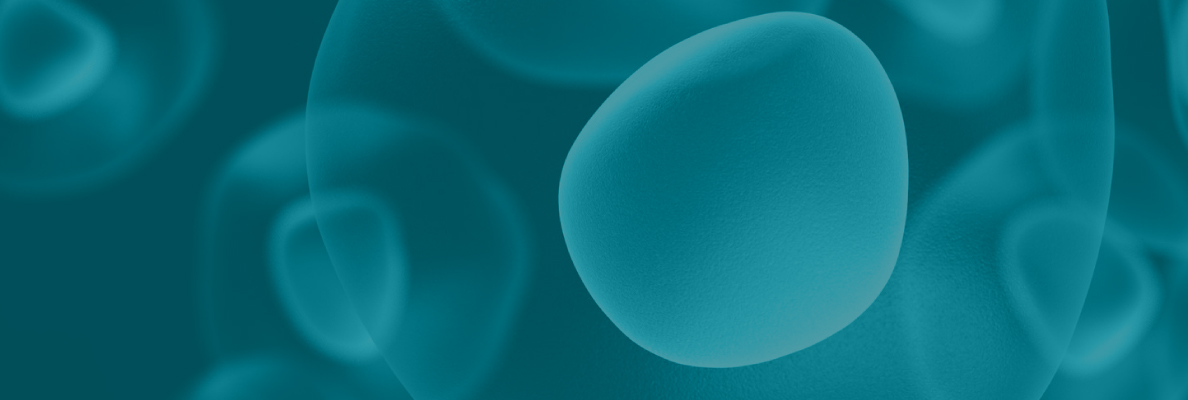 2025官網(wǎng)_欄目頁(yè)banner 04.jpg