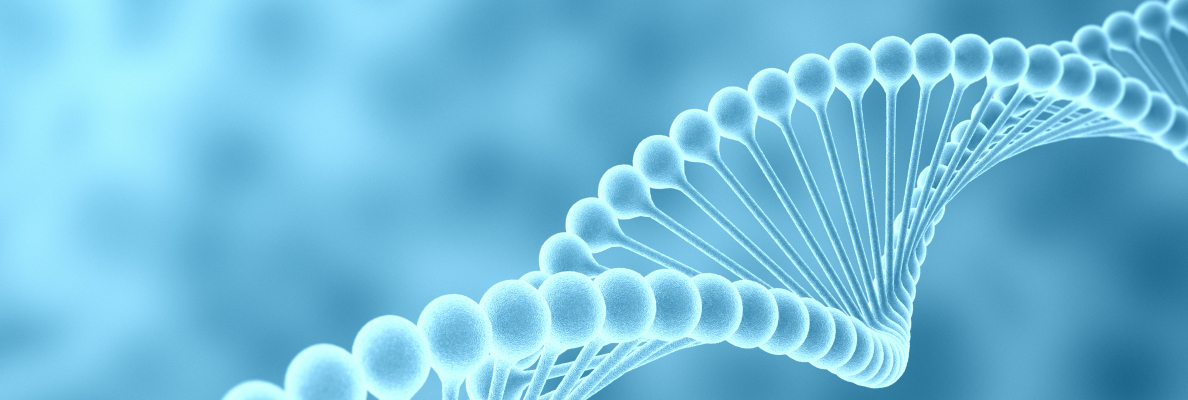 2025官網(wǎng)_欄目頁(yè)banner 12.jpg